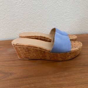 Stuart‎ Weitzman Summer Wedge Sandal Women 8.5 Blue Degrade Leather Slide